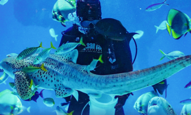 Aquaria Phuket Tickets