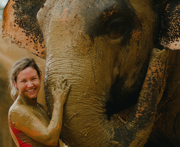 Phuket Ethical Elephant, Elephant Sanctuary Phuket (9)