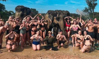 Phuket city tour & Elephant Care (Ethical Elephant)